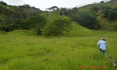 Venta finca en Sta. Barbara, Poblanco, Suroeste antioqueño