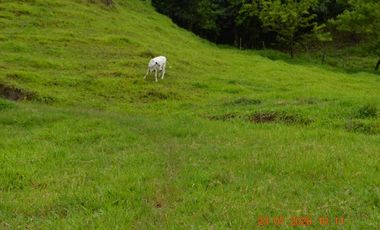 Venta finca en Sta. Barbara, Poblanco, Suroeste antioqueño