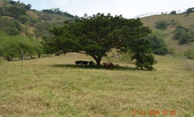 Venta finca en Sta. Barbara, Poblanco, Suroeste antioqueño