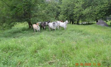 Venta finca en Sta. Barbara, Poblanco, Suroeste antioqueño