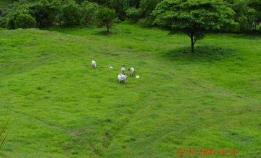 Venta finca en Sta. Barbara, Poblanco, Suroeste antioqueño