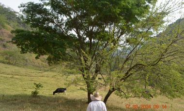 Venta finca en Sta. Barbara, Poblanco, Suroeste antioqueño