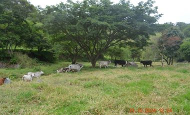 Venta finca en Sta. Barbara, Poblanco, Suroeste antioqueño