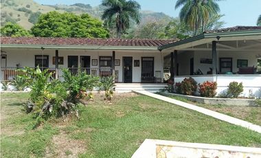 Venta  Finca  Suroeste Antiqueño,  Titiribi