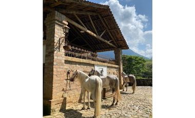 Venta finca en Venecia suroeste antioqueño