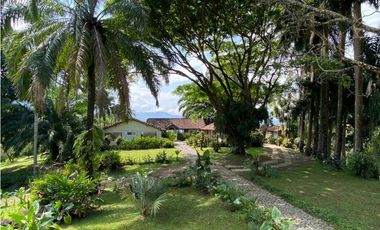 Venta finca en Venecia suroeste antioqueño
