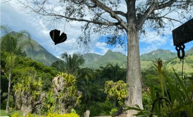 Venta finca en Venecia suroeste antioqueño
