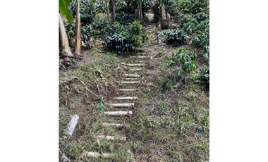 ESPECTACULAR FINCA PRODUCTIVA EN QUIMBAYA