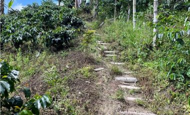 ESPECTACULAR FINCA PRODUCTIVA EN QUIMBAYA