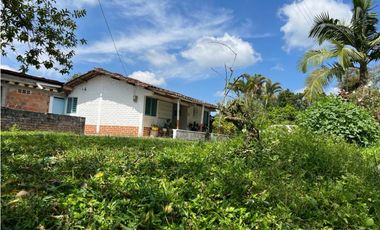 ESPECTACULAR FINCA PRODUCTIVA EN QUIMBAYA