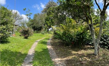 ESPECTACULAR FINCA PRODUCTIVA EN QUIMBAYA