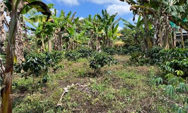 ESPECTACULAR FINCA PRODUCTIVA EN QUIMBAYA