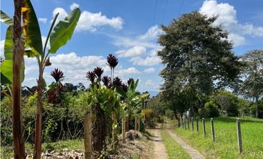 ESPECTACULAR FINCA PRODUCTIVA EN QUIMBAYA