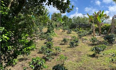 ESPECTACULAR FINCA PRODUCTIVA EN QUIMBAYA