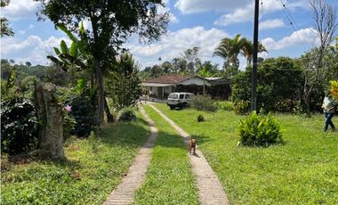 ESPECTACULAR FINCA PRODUCTIVA EN QUIMBAYA