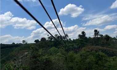 ESPECTACULAR FINCA PRODUCTIVA EN QUIMBAYA