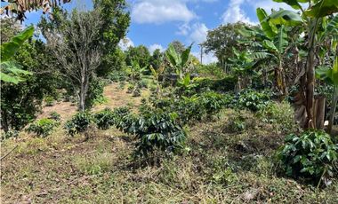 ESPECTACULAR FINCA PRODUCTIVA EN QUIMBAYA