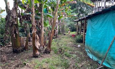 ESPECTACULAR FINCA PRODUCTIVA EN QUIMBAYA
