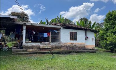 ESPECTACULAR FINCA PRODUCTIVA EN QUIMBAYA