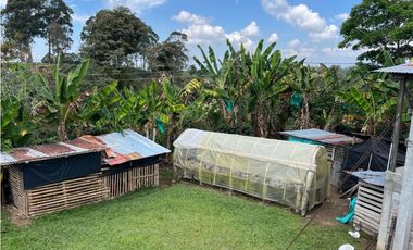 ESPECTACULAR FINCA PRODUCTIVA EN QUIMBAYA