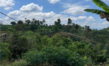 ESPECTACULAR FINCA PRODUCTIVA EN QUIMBAYA