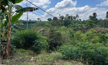 ESPECTACULAR FINCA PRODUCTIVA EN QUIMBAYA