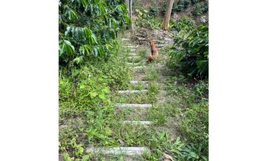 ESPECTACULAR FINCA PRODUCTIVA EN QUIMBAYA