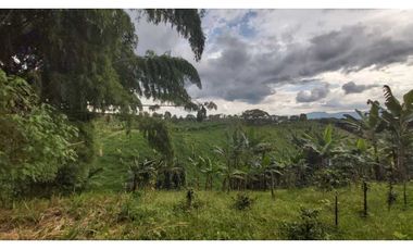 FINCA PRODUCTIVA EN QUIMBAYA