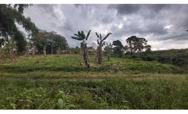 FINCA PRODUCTIVA EN QUIMBAYA