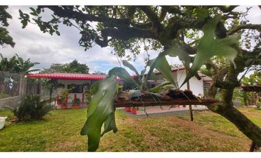 FINCA PRODUCTIVA EN QUIMBAYA