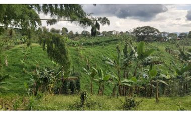 FINCA PRODUCTIVA EN QUIMBAYA