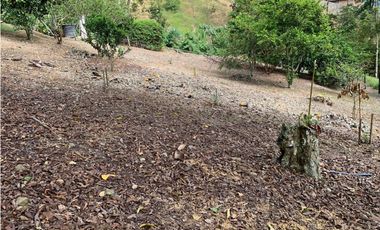 VENTA LOTE, AMAG - SUROESTE ANTIOQUEÑO