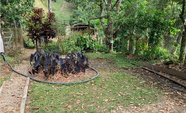 VENTA LOTE, AMAG - SUROESTE ANTIOQUEÑO