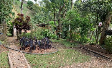 VENTA LOTE, AMAG - SUROESTE ANTIOQUEÑO