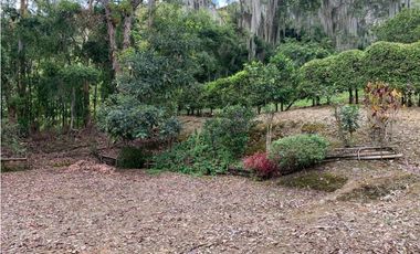 VENTA LOTE, AMAG - SUROESTE ANTIOQUEÑO