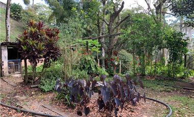 VENTA LOTE, AMAG - SUROESTE ANTIOQUEÑO