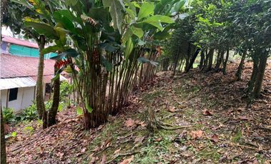 VENTA LOTE, AMAG - SUROESTE ANTIOQUEÑO