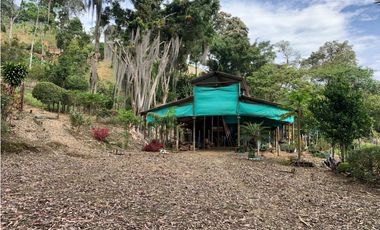 VENTA LOTE, AMAG - SUROESTE ANTIOQUEÑO