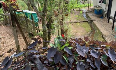 VENTA LOTE, AMAG - SUROESTE ANTIOQUEÑO