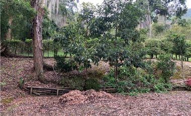 VENTA LOTE, AMAG - SUROESTE ANTIOQUEÑO