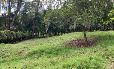 VENTA LOTE, AMAG - SUROESTE ANTIOQUEÑO