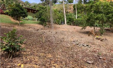 VENTA LOTE, AMAG - SUROESTE ANTIOQUEÑO