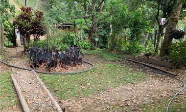 VENTA LOTE, AMAG - SUROESTE ANTIOQUEÑO