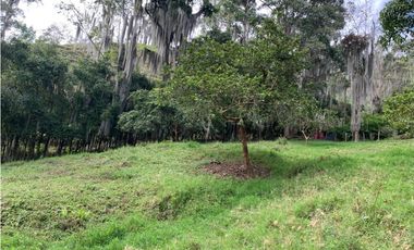 VENTA LOTE, AMAG - SUROESTE ANTIOQUEÑO