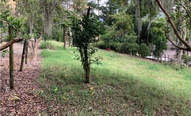 VENTA LOTE, AMAG - SUROESTE ANTIOQUEÑO