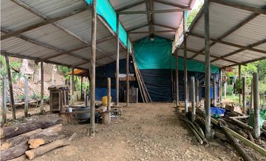 VENTA LOTE, AMAG - SUROESTE ANTIOQUEÑO