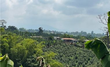 VENDO HERMOSA FINCA AGRO-TURSTICA EN FILANDIA