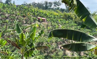 VENDO HERMOSA FINCA AGRO-TURSTICA EN FILANDIA