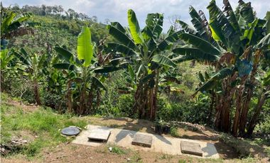 VENDO HERMOSA FINCA AGRO-TURSTICA EN FILANDIA