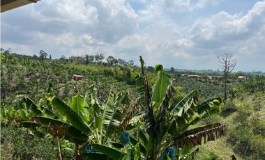 VENDO HERMOSA FINCA AGRO-TURSTICA EN FILANDIA